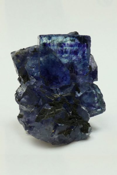 Fluorina c12