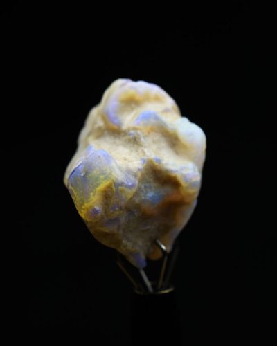 Opal Fosilă 071