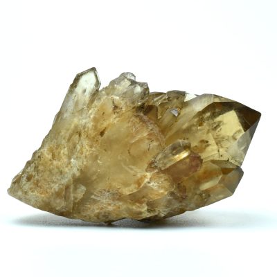 Citrin Congo