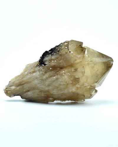 Citrin Congo
