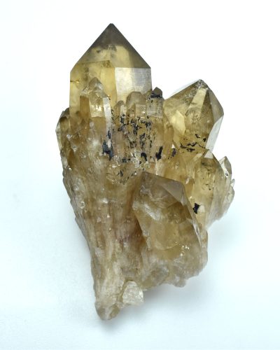 Citrin Congo