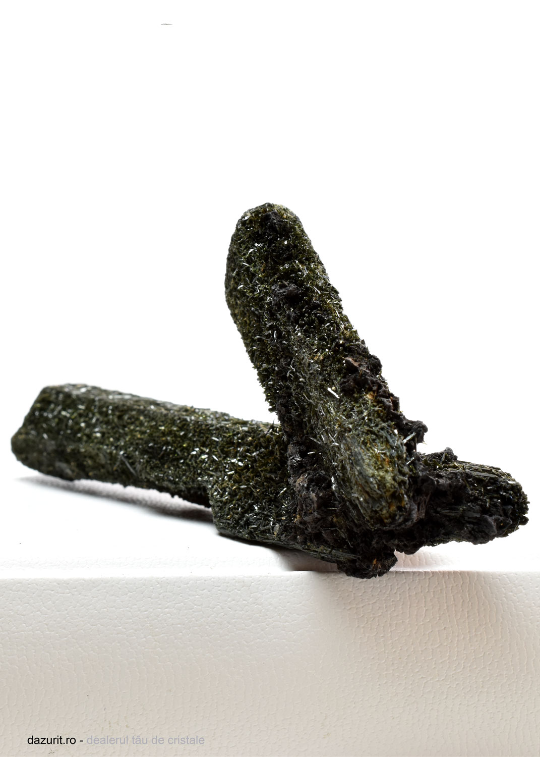 Specimen Egirin - imagine 2