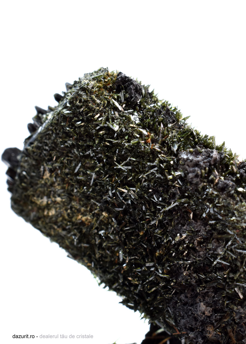 Specimen Egirin - imagine 5
