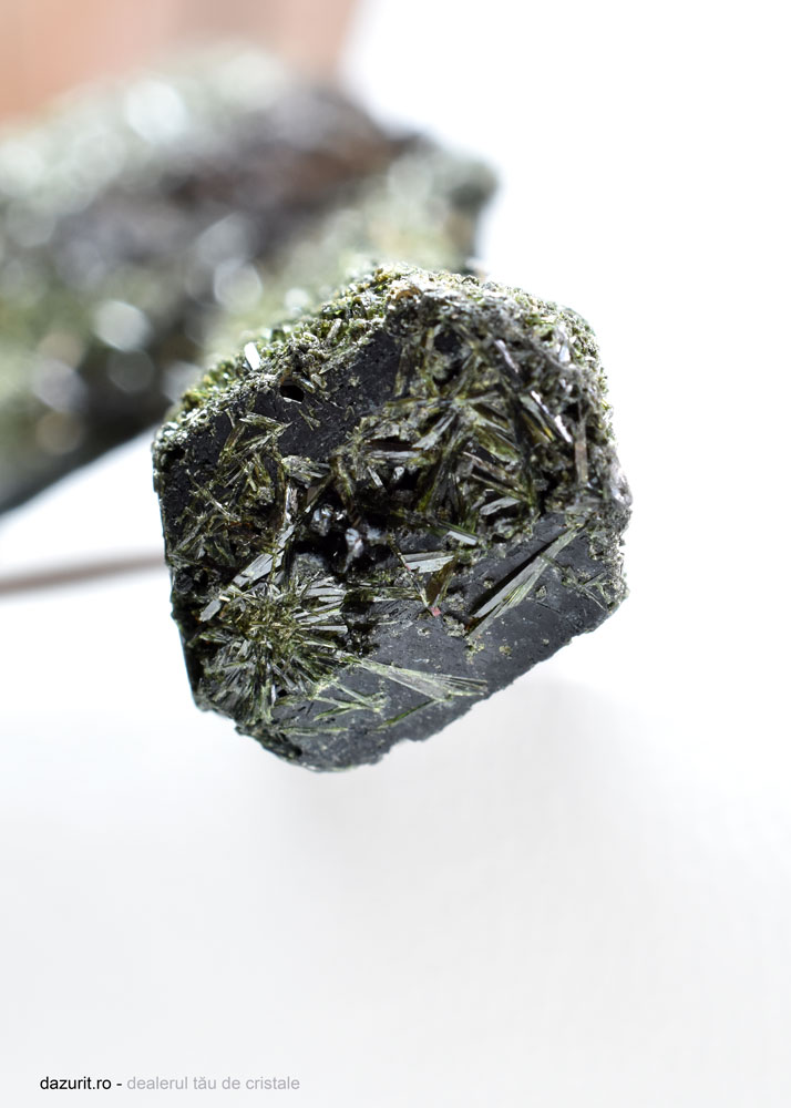 Specimen Egirin - imagine 6