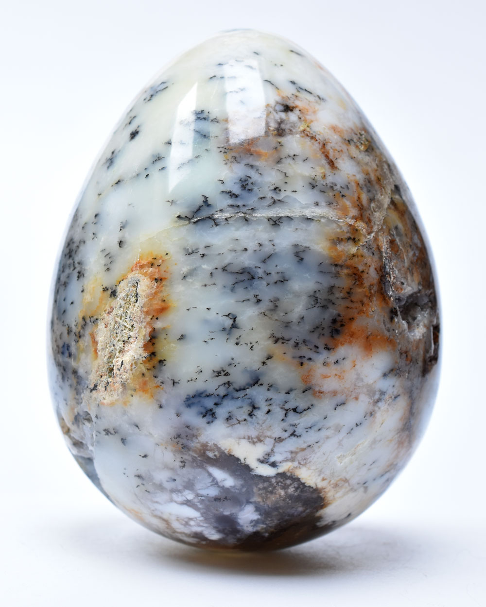 Ou Opal Dendritic Merlinit de vânzare